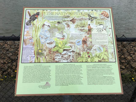 Nature Travel: Birding placard - Wastewater treatment plan, Cannon Beach, OR