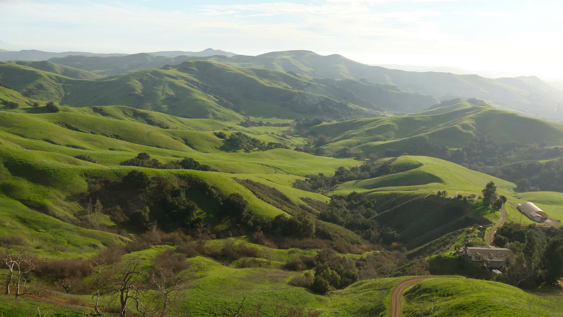 Nature travel: Cambria, CA green hills reflect the beauty for which we can all be grateful