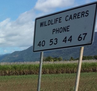 Nature Travel: Wildlife rehabilitation and wildlife carer sign in Australia