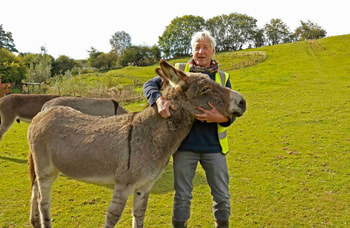 Nature Travel: A fun donkey walk in the UK countryside